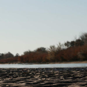 Meet your Posher, Jayden